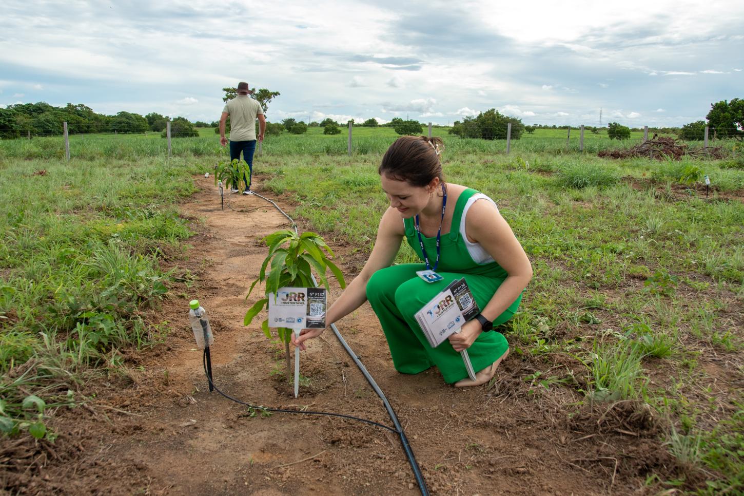 TJRR fica em 2º lugar entre Tribunais de Justiça no Índice de Desempenho de Sustentabilidade